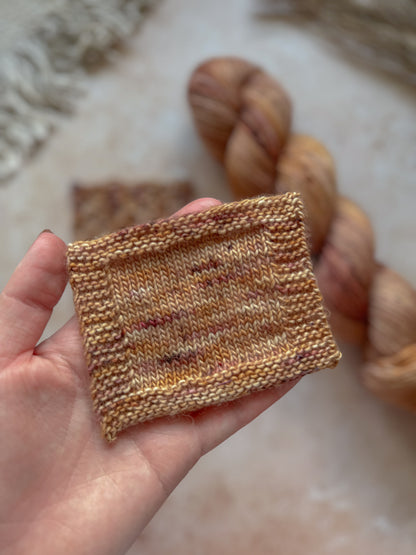 Variegated Scallop - Merino DK